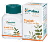 Himalaya Wellness Pure Herbs Shallaki (60 tabs) - Bone & Joint Wellness 